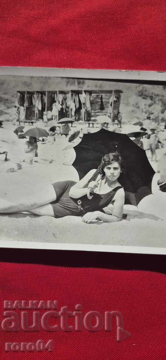 Auction  BEACH - CAT - UMBRELLAS