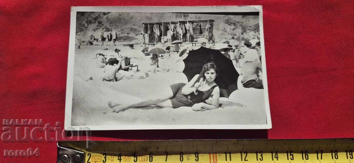 BEACH - CAT - UMBRELLAS - 5