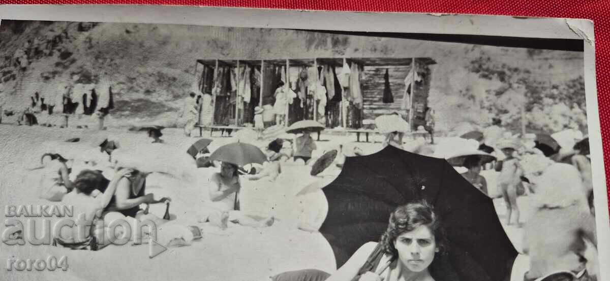 BEACH - CAT - UMBRELLAS - 6