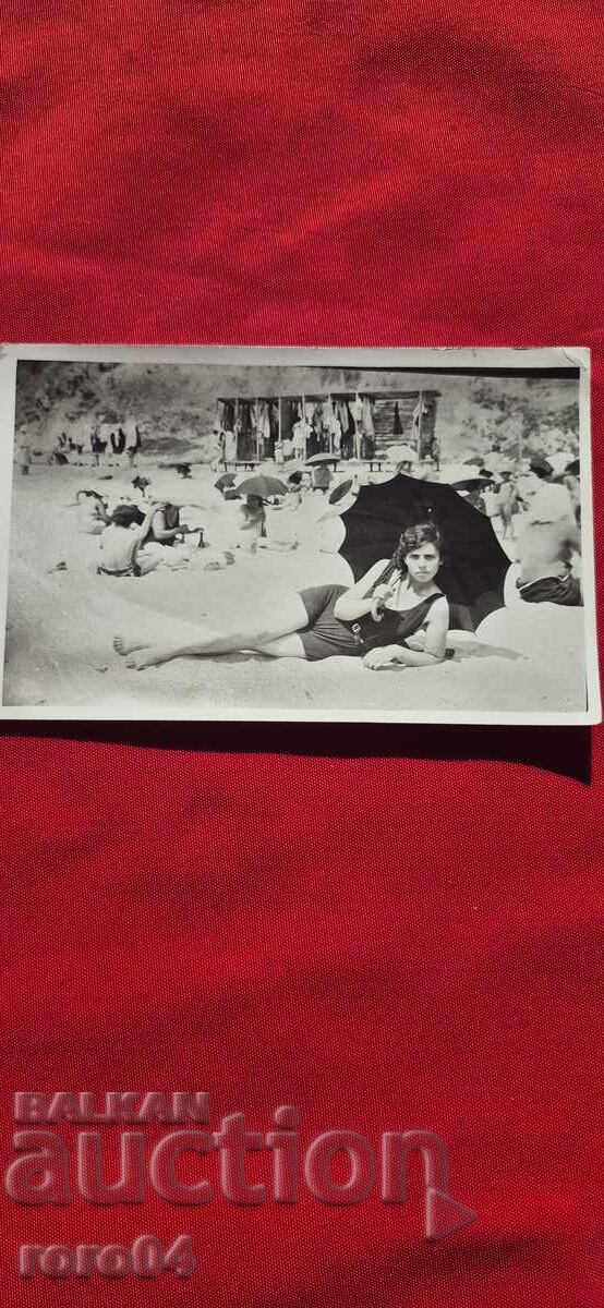 BEACH - CAT - UMBRELLAS