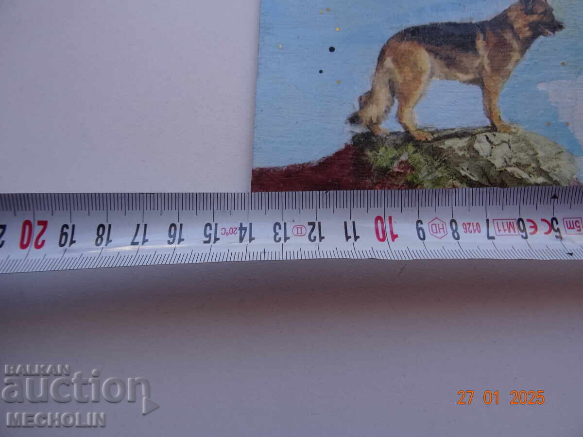 DRAWING OF A GERMAN SHEPHERD with price 25.00 BGN | € 12.78 DRAWING OF A GERMAN SHEPHERD with price 25.00 BGN | € 12.78