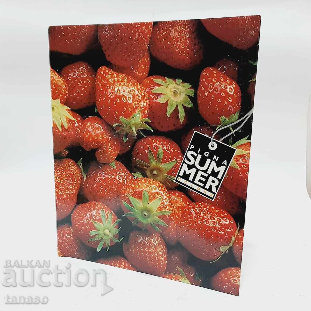 Folder - binder with strawberries on the cover (12.1)