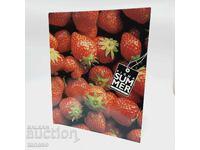 Folder - binder with strawberries on the cover (12.1)