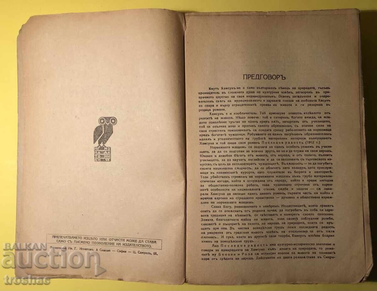 Old Book Last Joy/Benoni/Rose // Knut Hamsun - 5