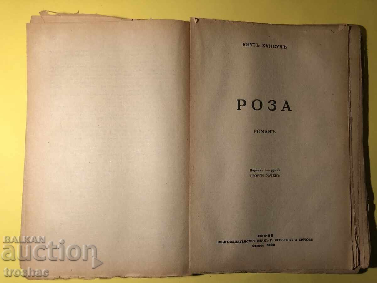 Old Book Last Joy/Benoni/Rose // Knut Hamsun - 6