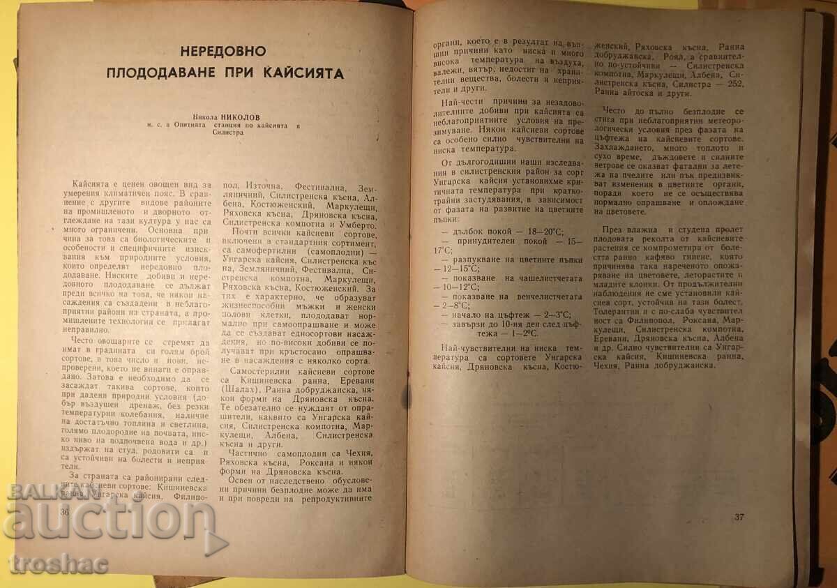 Παλιό Βιβλίο Παρτίδα 7 βιβλίων στη σειρά Φρούτα 1980 - 7