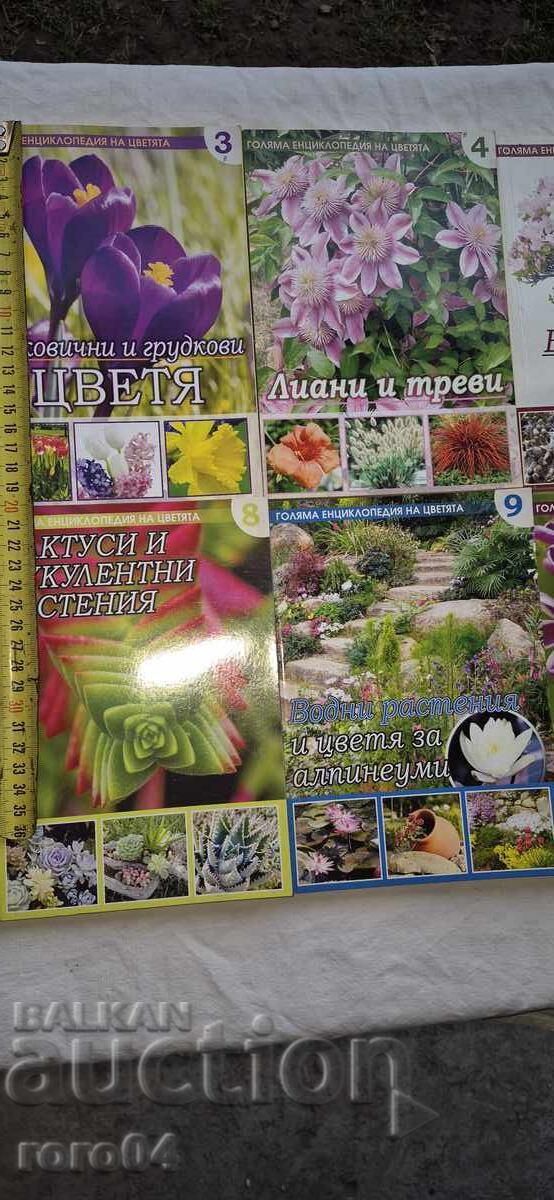 Licitație FLORI - ENCICLOPEDIA - 1 / 10 Licitație FLORI - ENCICLOPEDIA - 1 / 10