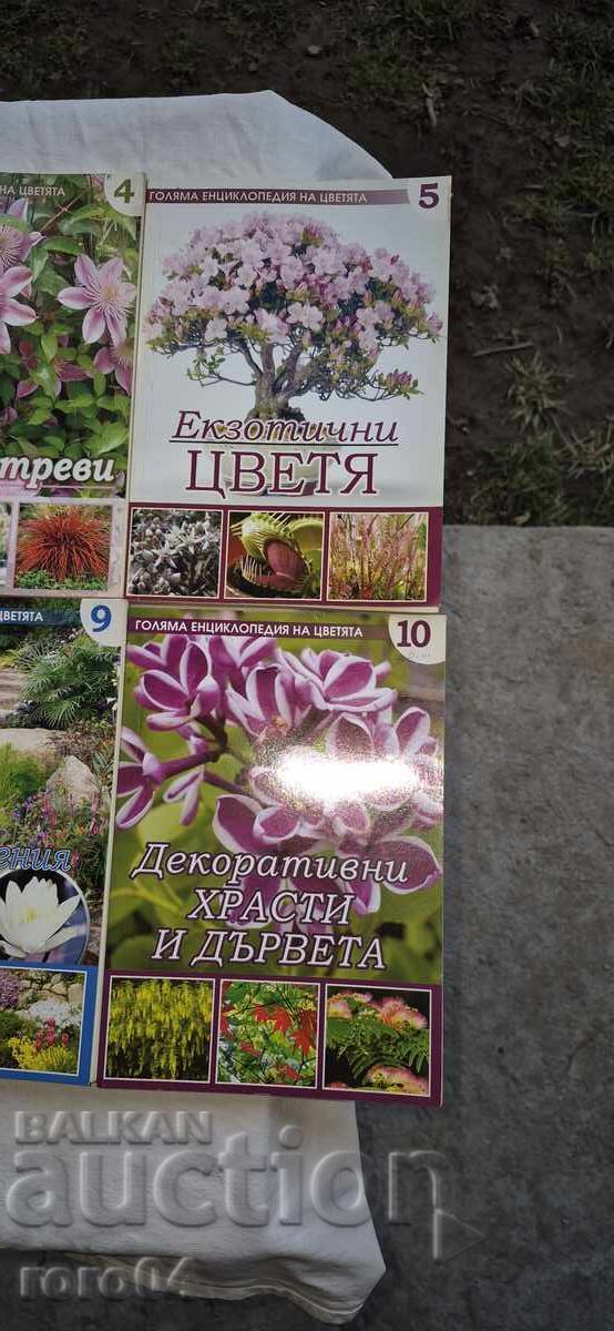 Livrarea FLORI - ENCICLOPEDIA - 1 / 10 Livrarea FLORI - ENCICLOPEDIA - 1 / 10