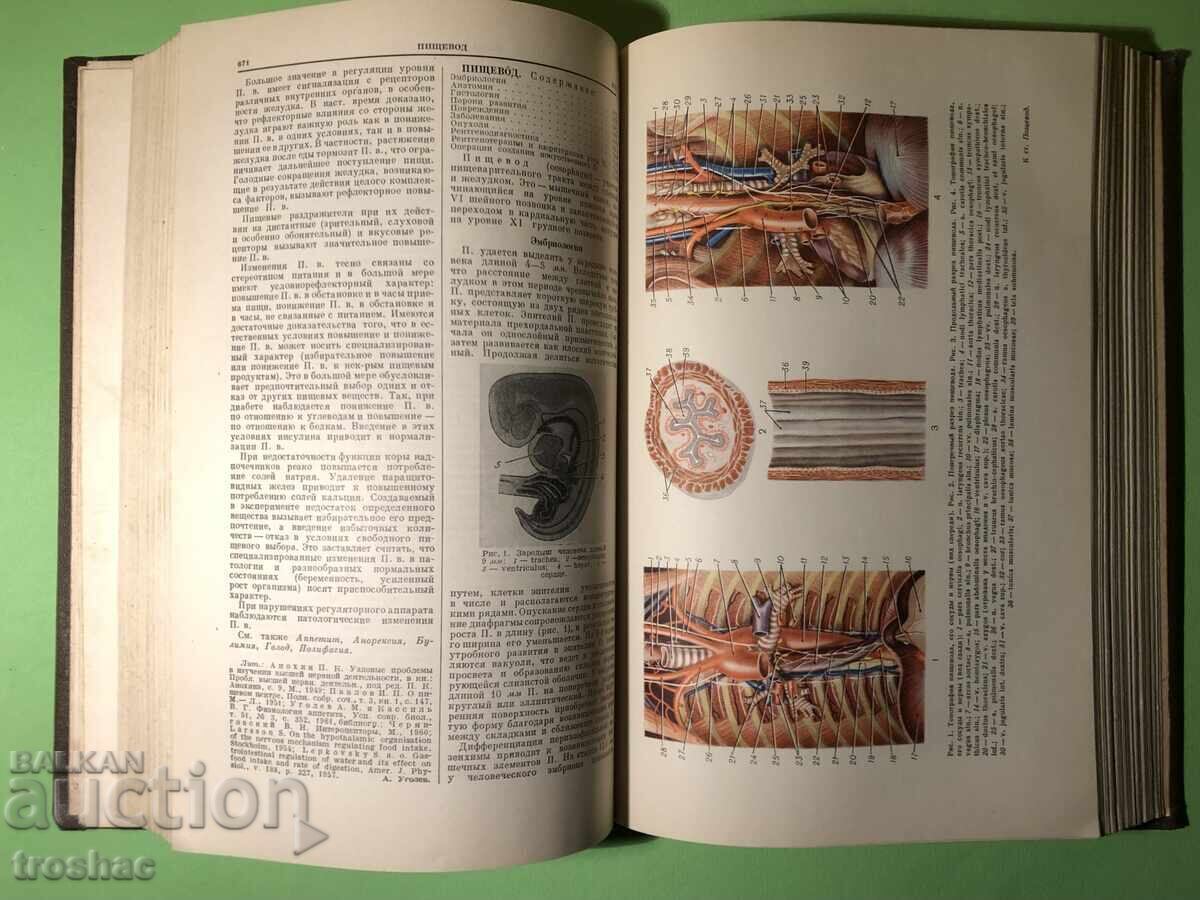 Delivery of Old Book Big Medical Encyclopedia A. Bakulev Delivery of Old Book Big Medical Encyclopedia A. Bakulev