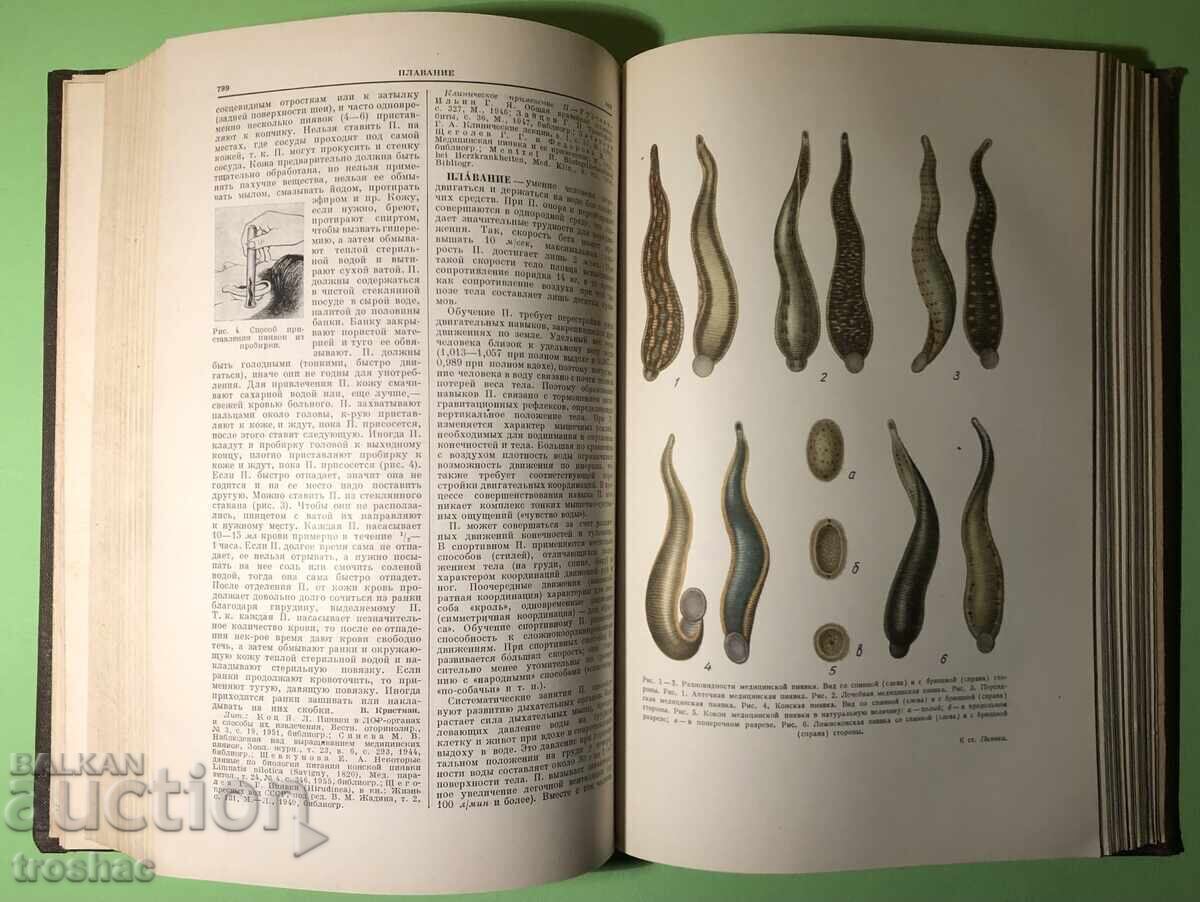 Стара Книга Голяма Медицинска Енциклопедия А.Бакулев - 5
