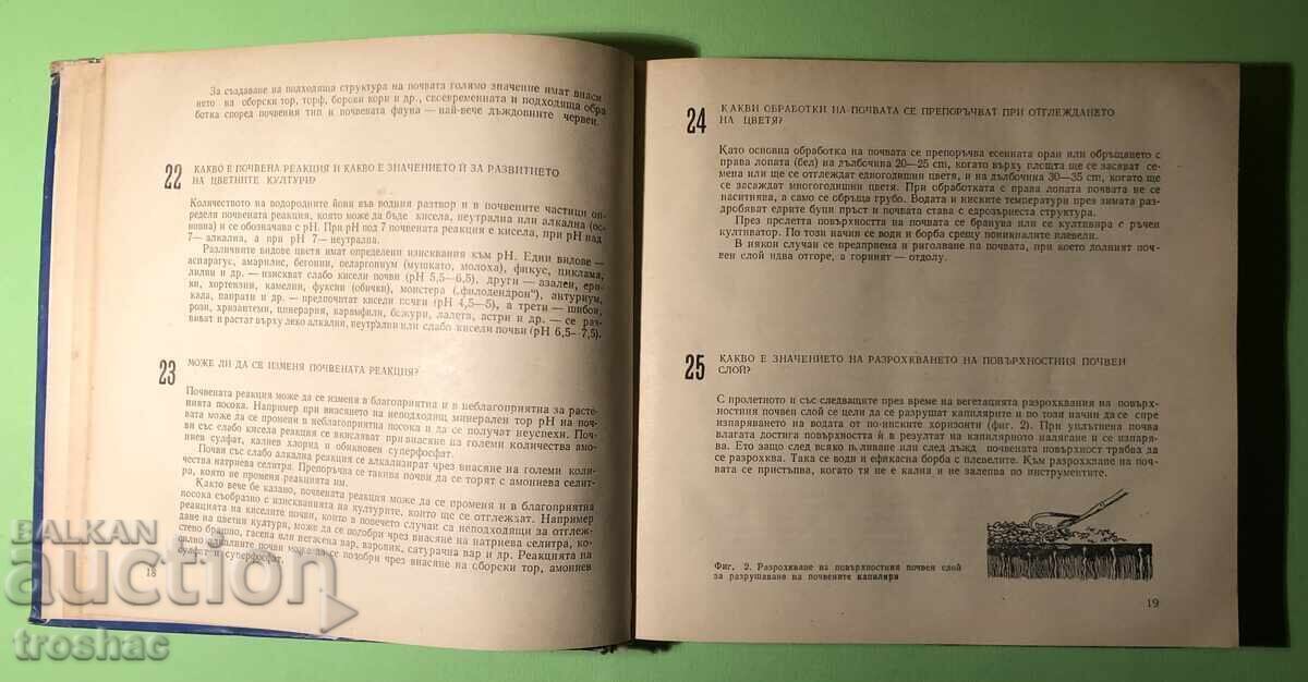 Auction  Old Book 599 Tips for the Amateur Florist