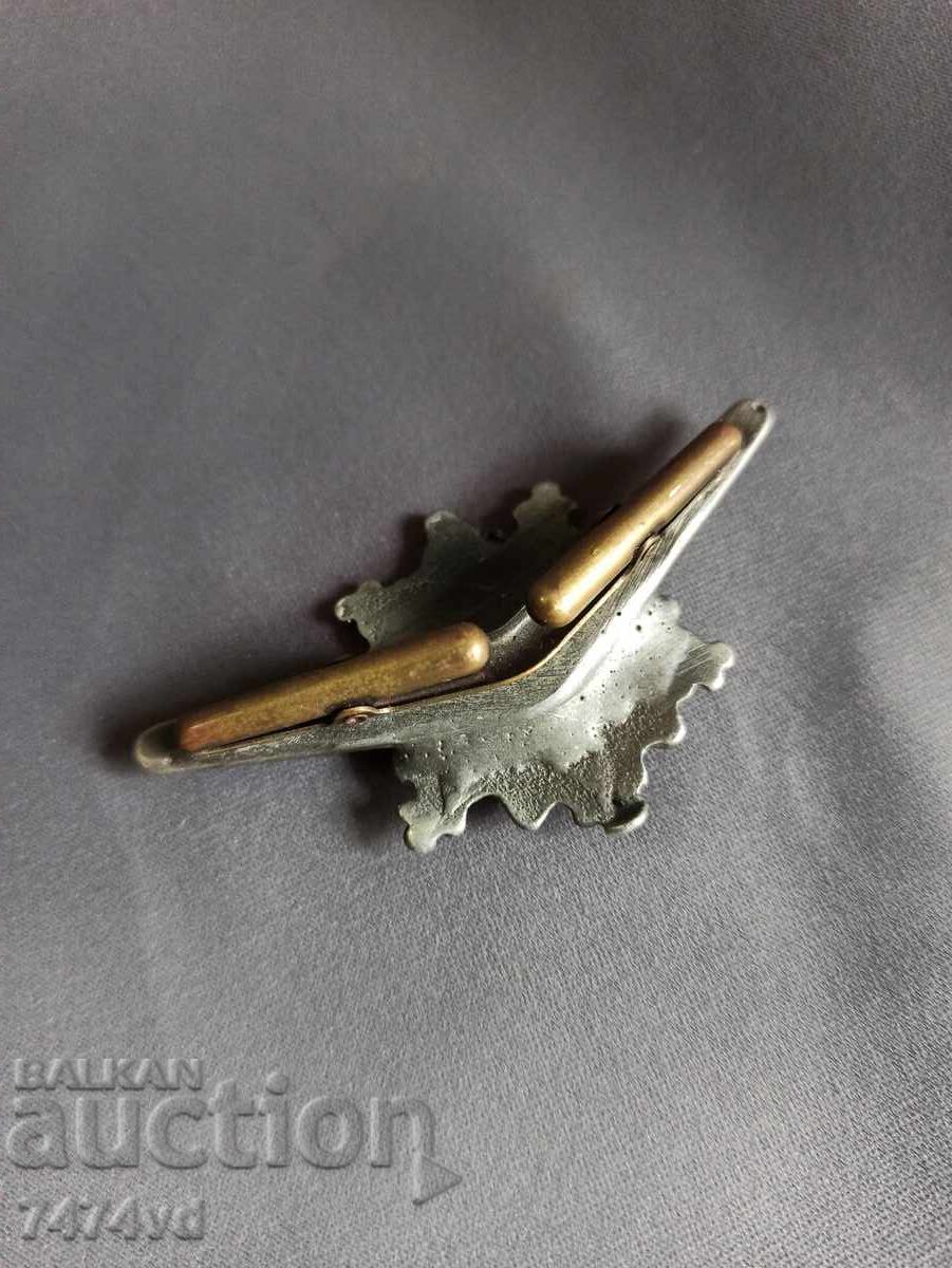 OLD BROOCH BADGE DR ACORNS, LEAVES, OTHER with price 20.00 BGN | € 10.23 OLD BROOCH BADGE DR ACORNS, LEAVES, OTHER with price 20.00 BGN | € 10.23