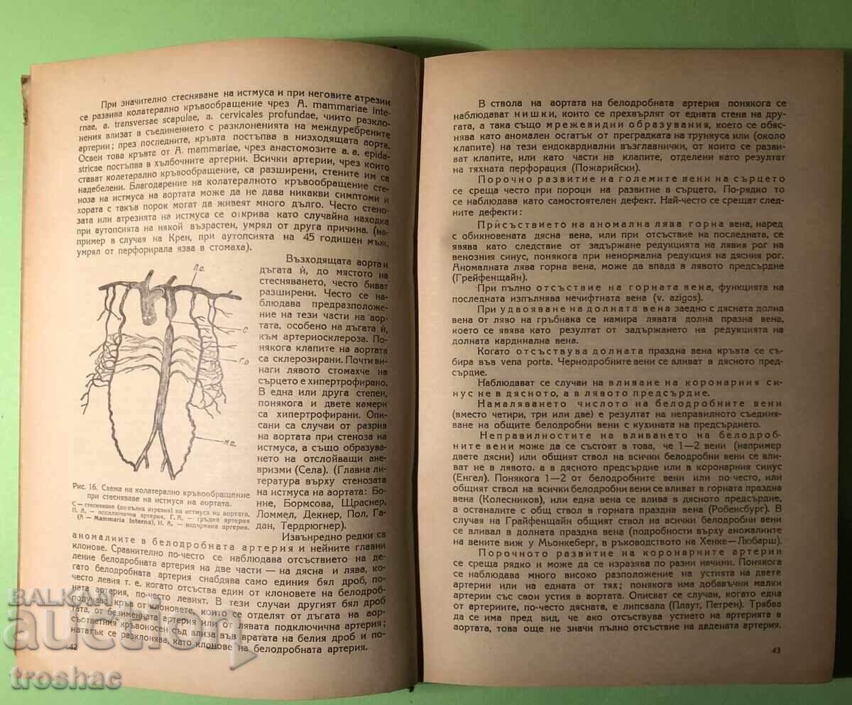 Old Book Private Pathological Anatomy Heart and Blood Vessels C with price 20.00 BGN | € 10.23 Old Book Private Pathological Anatomy Heart and Blood Vessels C with price 20.00 BGN | € 10.23