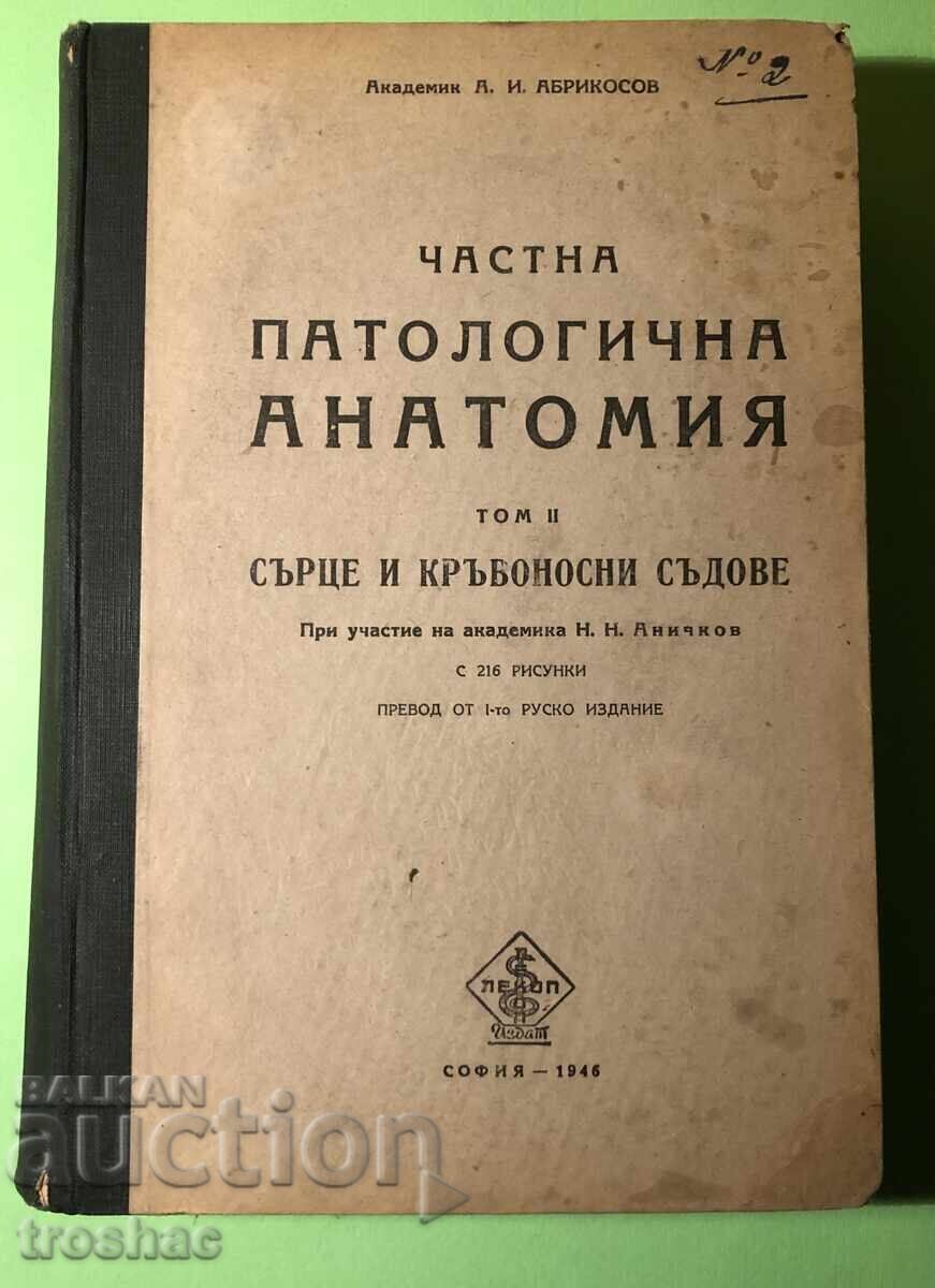 Auction  Old Book Private Pathological Anatomy Heart and Blood Vessels C