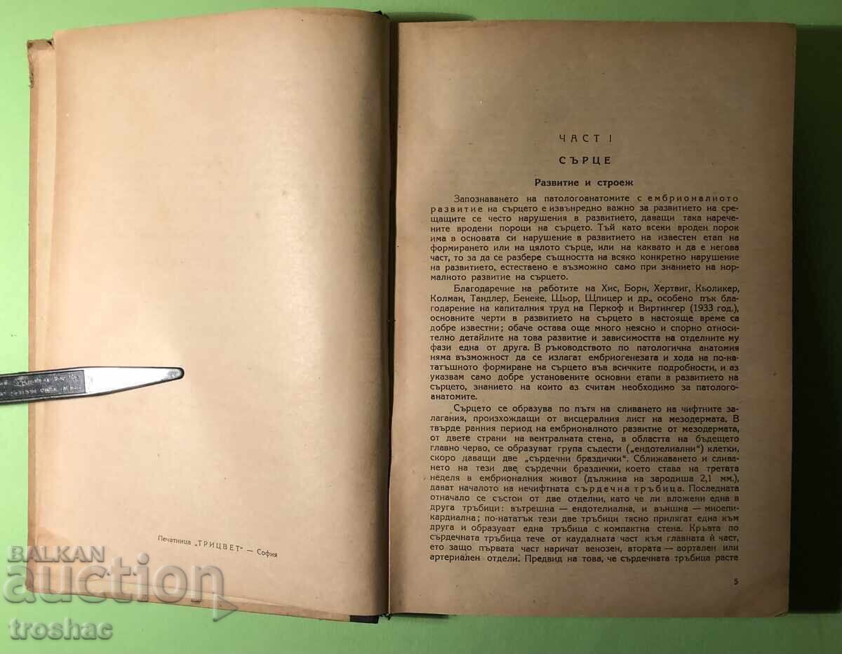 Old Book Private Pathological Anatomy Heart and Blood Vessels C - 5