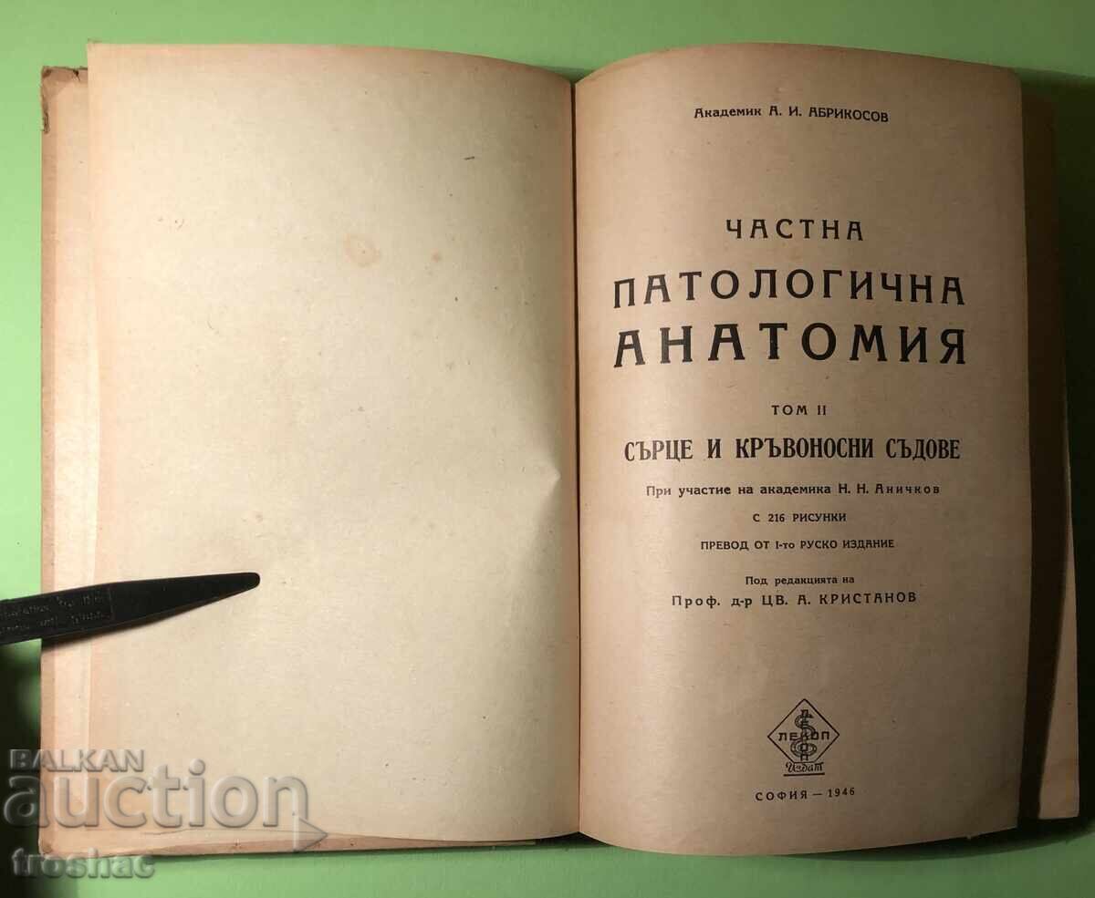 Old Book Private Pathological Anatomy Heart and Blood Vessels C Old Book Private Pathological Anatomy Heart and Blood Vessels C