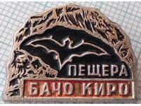 17983 Badge - Bacho Kiro cave