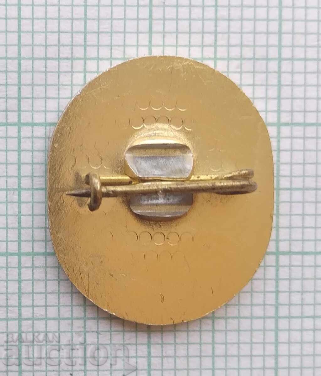 Аукцион 17990 Значка - 30 години МК Толбухин