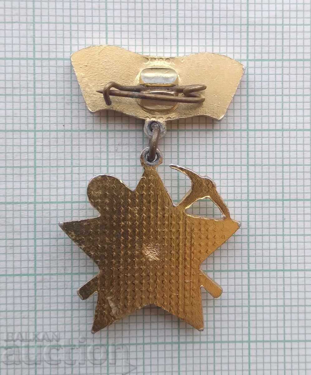 Аукцион 17993 Значка - Строим за родината 1983