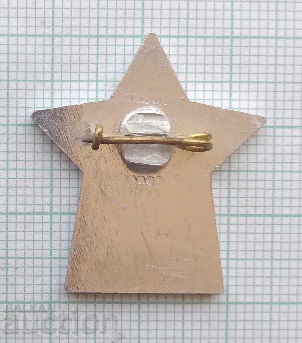 Auction 17999 Badge - Excellent Student SK Pamukotex Auction 17999 Badge - Excellent Student SK Pamukotex