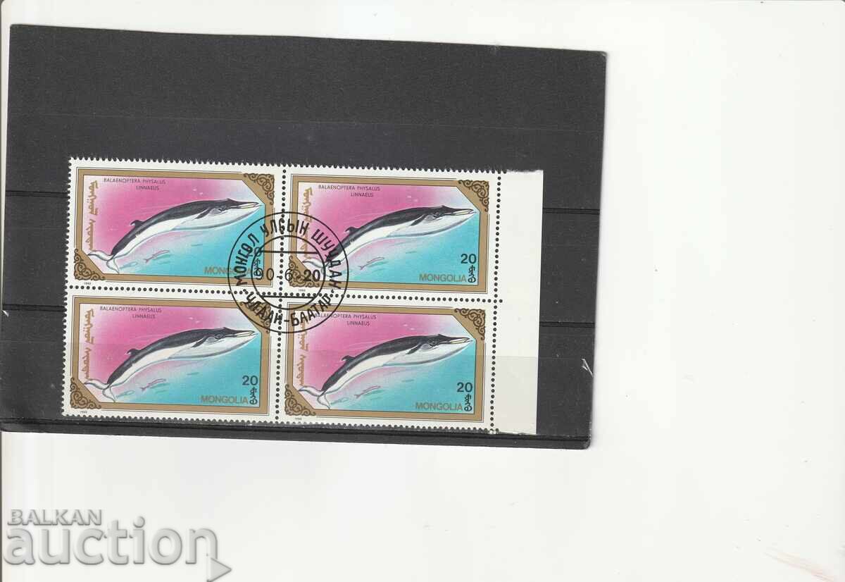 Mongolia - Fauna Dolphins ser+bl. destroy square - 5 Mongolia - Fauna Dolphins ser+bl. destroy square - 5
