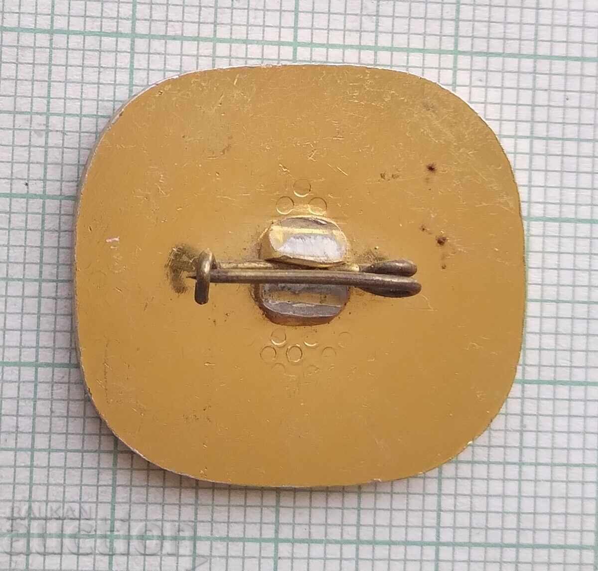 Auction 18009 Badge - Panorama Pleven Epic 1877 Auction 18009 Badge - Panorama Pleven Epic 1877