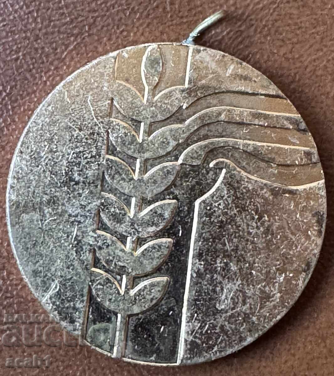 Levski Most Fair Competitor Golden with price 49.99 BGN | € 25.56