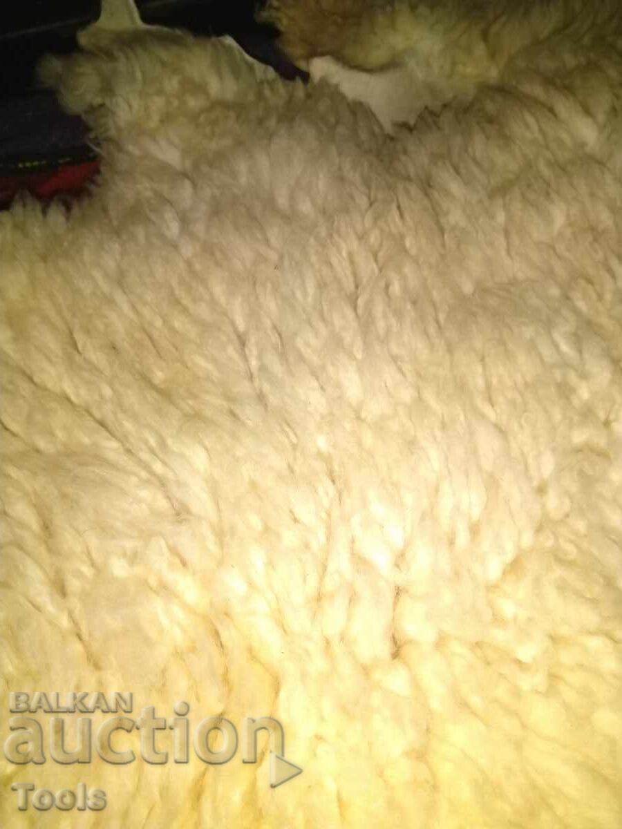 Auction Lambskin leather-tanned Auction Lambskin leather-tanned