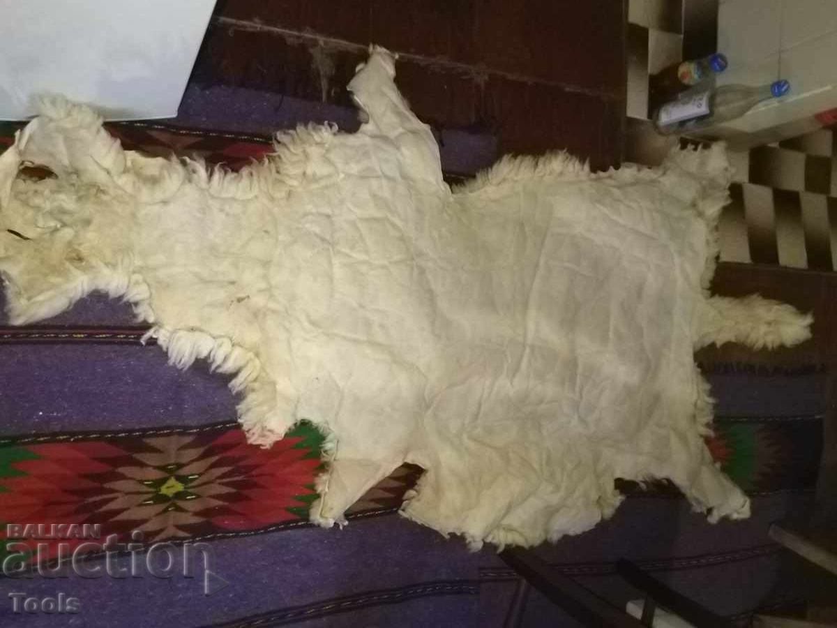 Delivery of Lambskin leather-tanned Delivery of Lambskin leather-tanned