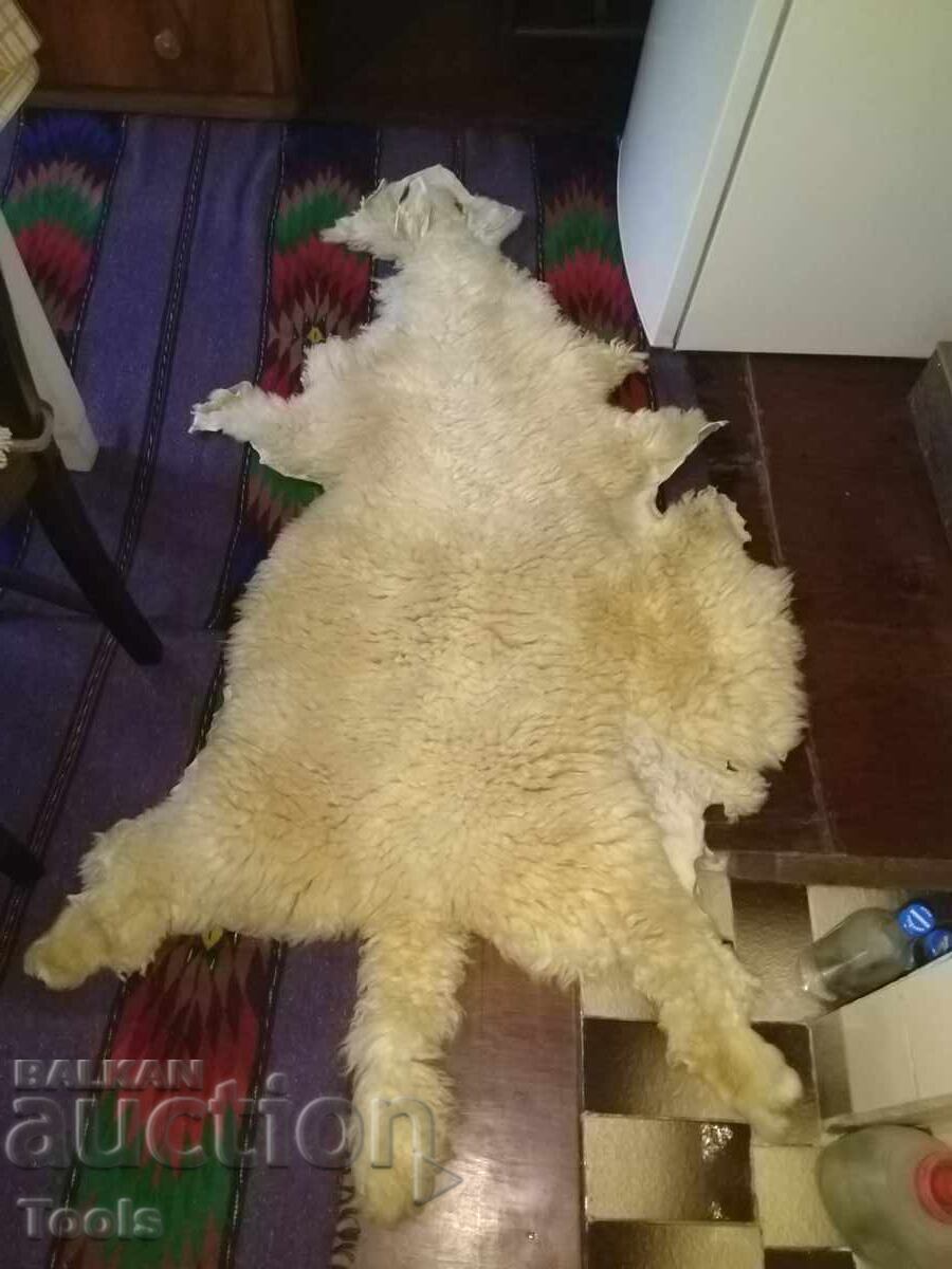 Lambskin leather-tanned Lambskin leather-tanned