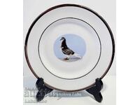 Porcelain plate of the Pall Mall Ware brand FWR England.