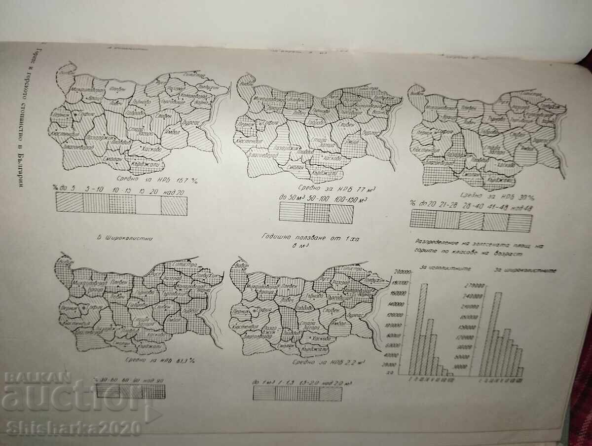 Δάση και δασοκομία στη Βουλγαρία με τιμή € 60.00 | 117.35 BGN