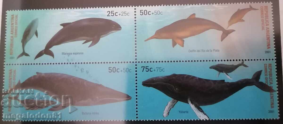 Argentina - fauna, whales Argentina - fauna, whales