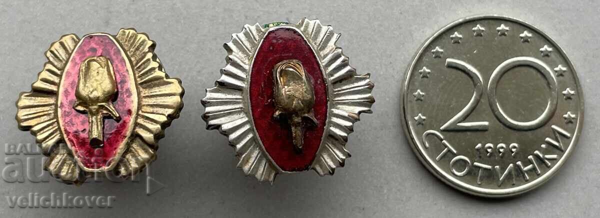 Auction 39868 Bulgaria two miniatures Order of the Rose 1st and 2nd degree Auction 39868 Bulgaria two miniatures Order of the Rose 1st and 2nd degree