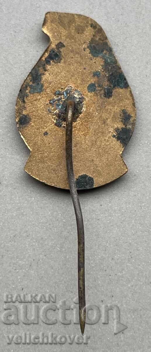 39870 Bulgaria sign TNTM City of Pleven with price 4.00 BGN | € 2.05