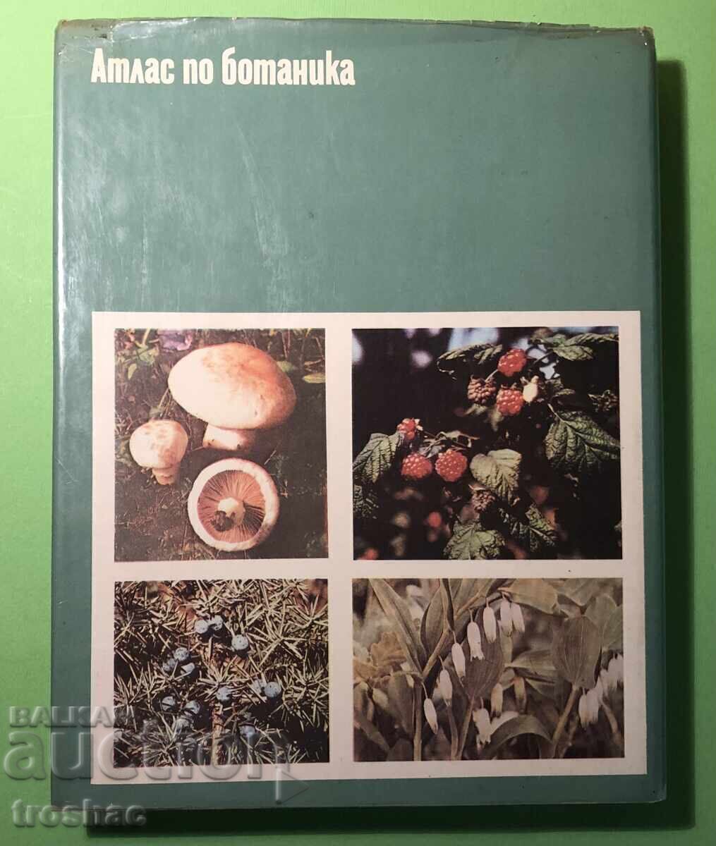Atlas de carte veche de botanică/Sl.Petrov,E.Palamarev cu preț € 11.00 | 21.51 BGN