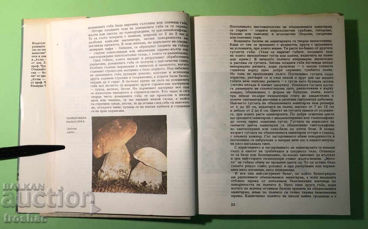 Auction Old Book Atlas of Botany/Sl.Petrov,E.Palamarev Auction Old Book Atlas of Botany/Sl.Petrov,E.Palamarev