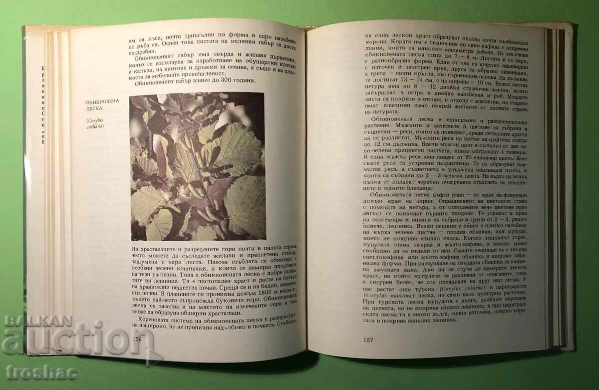 Old Book Atlas of Botany/Sl.Petrov,E.Palamarev - 7 Old Book Atlas of Botany/Sl.Petrov,E.Palamarev - 7