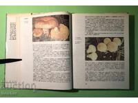 Old Book Atlas of Botany/Sl.Petrov,E.Palamarev