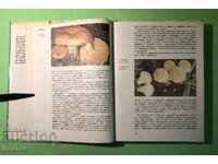 Old Book Atlas of Botany/Sl.Petrov,E.Palamarev