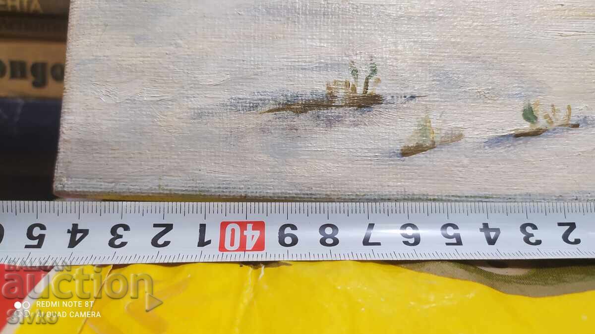 Auction  Oil painting on canvas Winter morning in the village