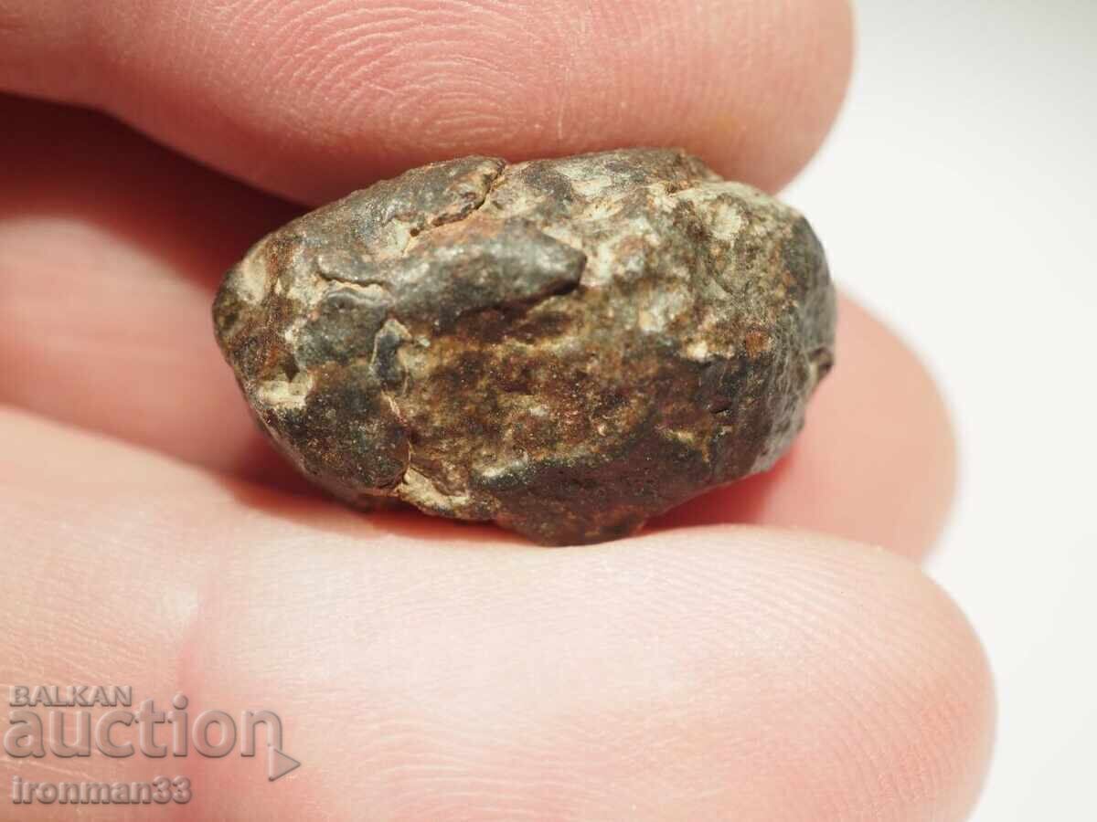 Meteorite NWA 869 with price 100.00 BGN | € 51.13 Meteorite NWA 869 with price 100.00 BGN | € 51.13