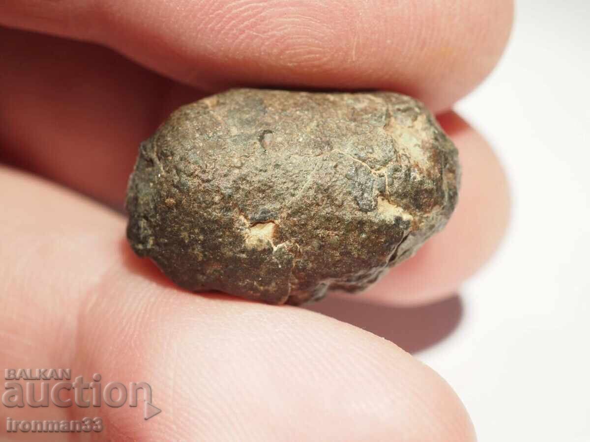 Παράδοση Μετεωρίτης NWA 869