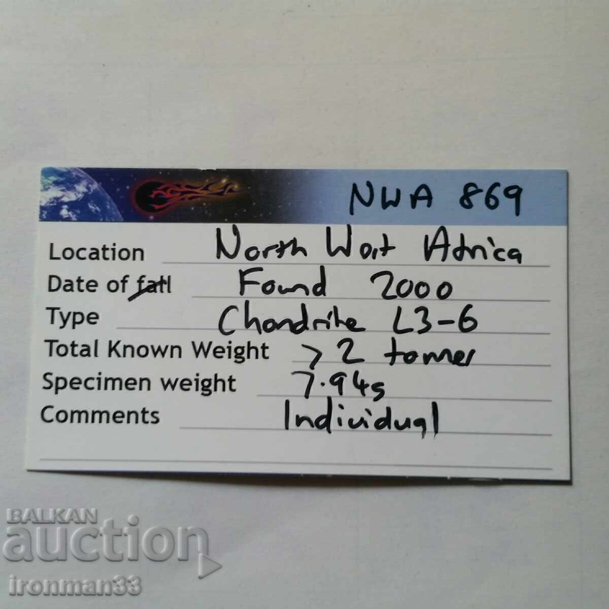 Meteorite NWA 869 - 5 Meteorite NWA 869 - 5