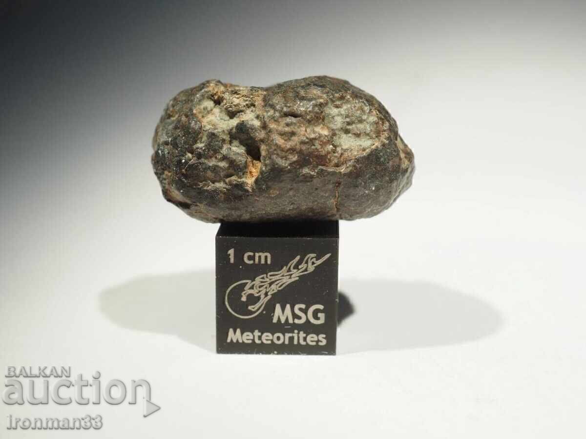 Meteorite NWA 869 Meteorite NWA 869