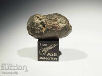 Meteorite NWA 869