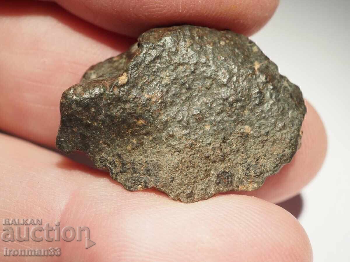 Licitație Meteoritul NWA 869 Licitație Meteoritul NWA 869
