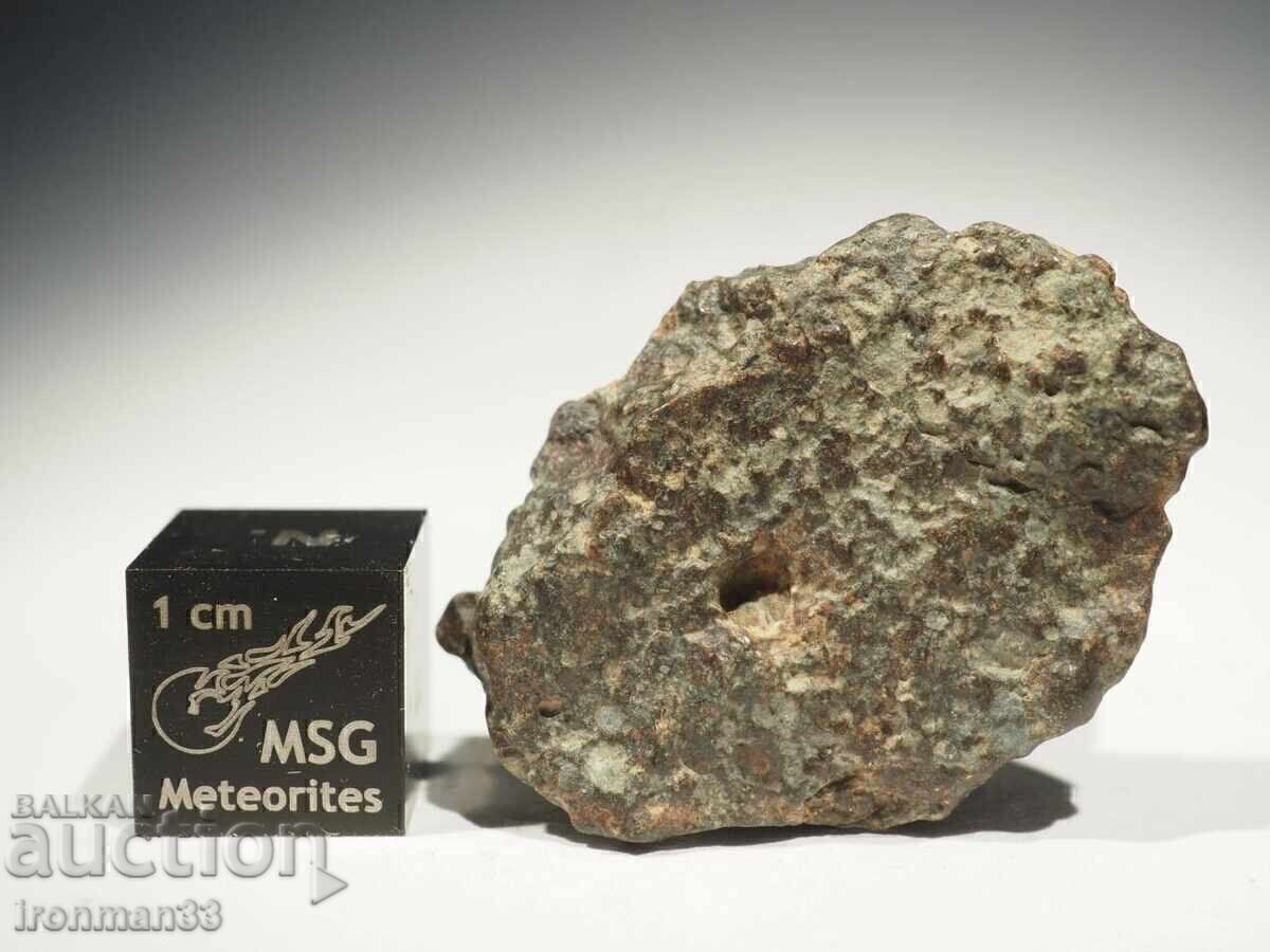 Meteoritul NWA 869 Meteoritul NWA 869