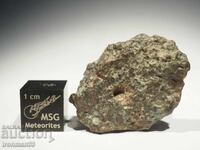 Meteorite NWA 869