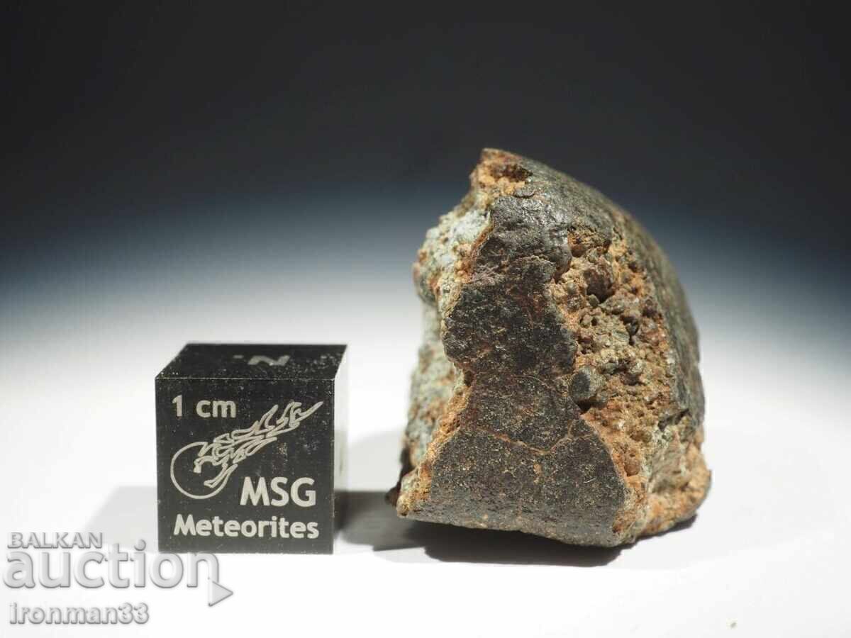Auction Meteorite NWA XXX Auction Meteorite NWA XXX